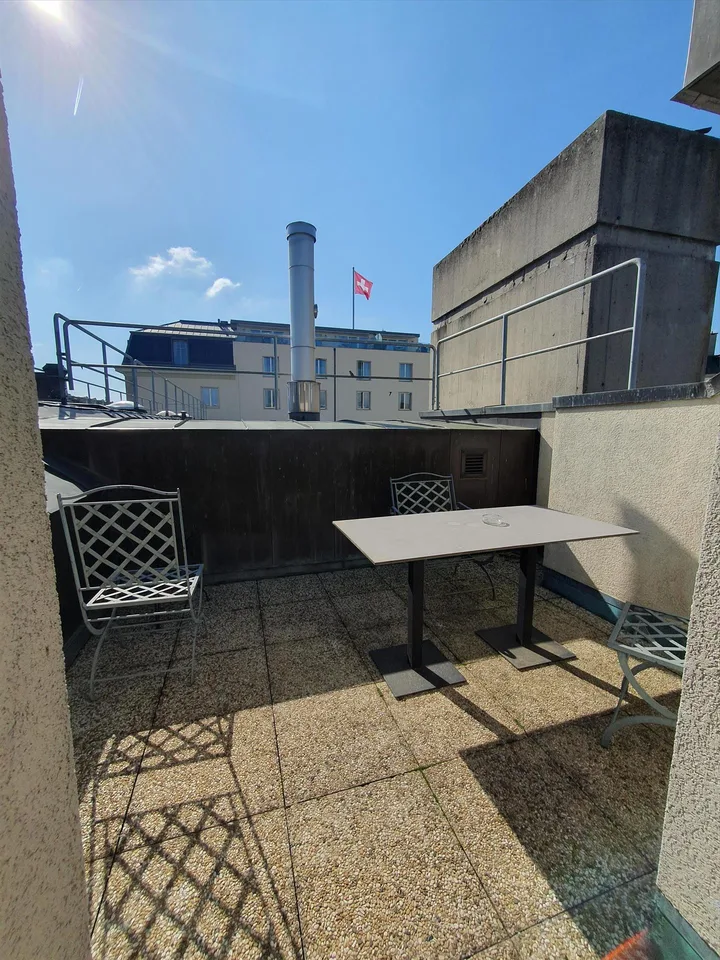 Duplex con terrazza - Rue du Docteur-Alfred-Vincent, 1201 Ginevra – foto 8 di 12