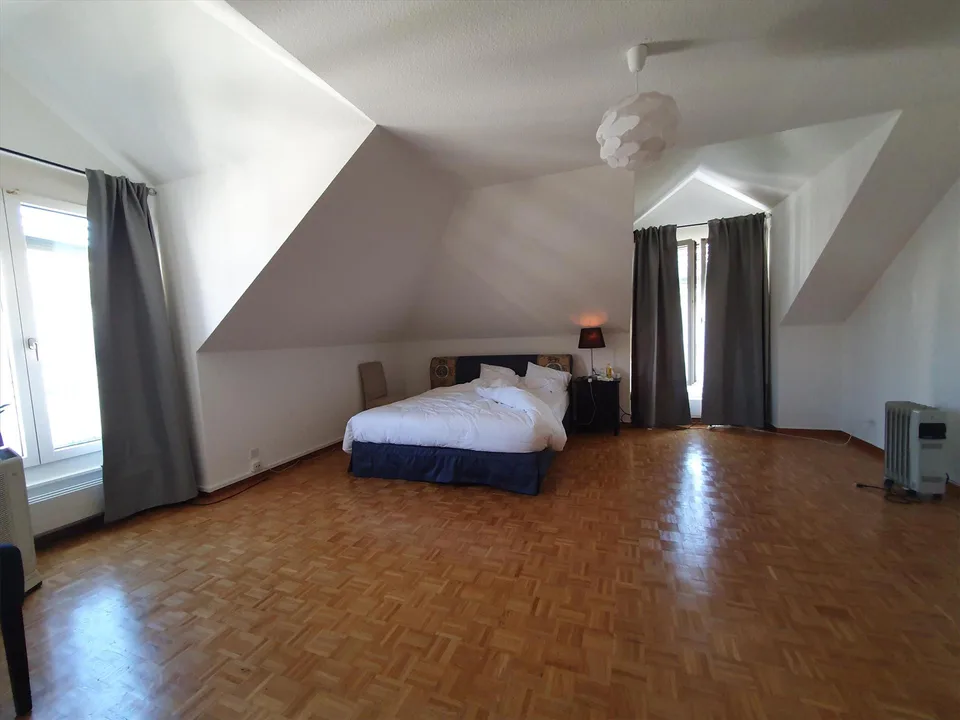 Duplex con terrazza - Rue du Docteur-Alfred-Vincent, 1201 Ginevra – foto 6 di 12