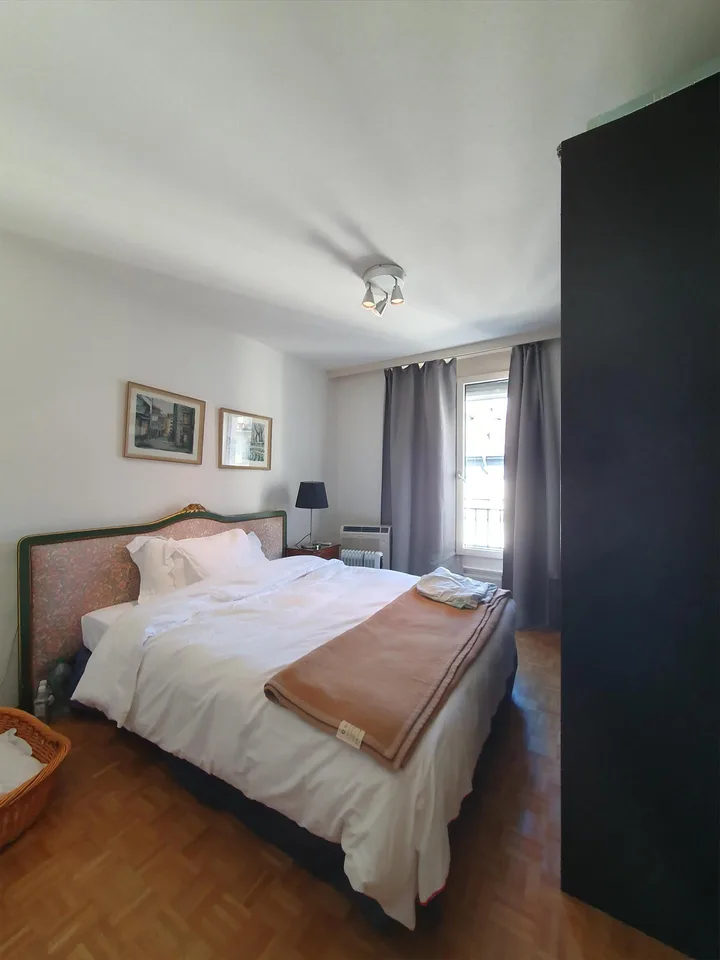 Duplex con terrazza - Rue du Docteur-Alfred-Vincent, 1201 Ginevra – foto 9 di 12