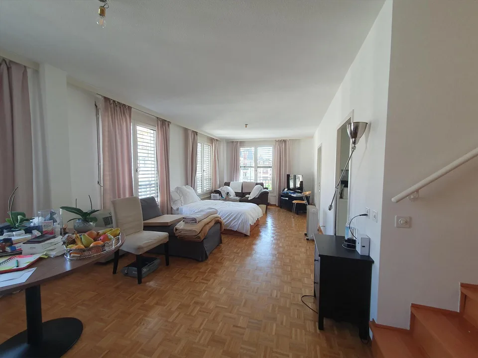 Duplex con terrazza - Rue du Docteur-Alfred-Vincent, 1201 Ginevra – foto 2 di 12