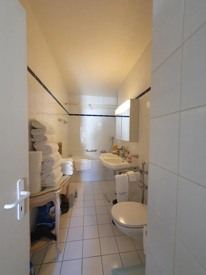 Duplex con terrazza - Rue du Docteur-Alfred-Vincent, 1201 Ginevra – foto 10 di 12