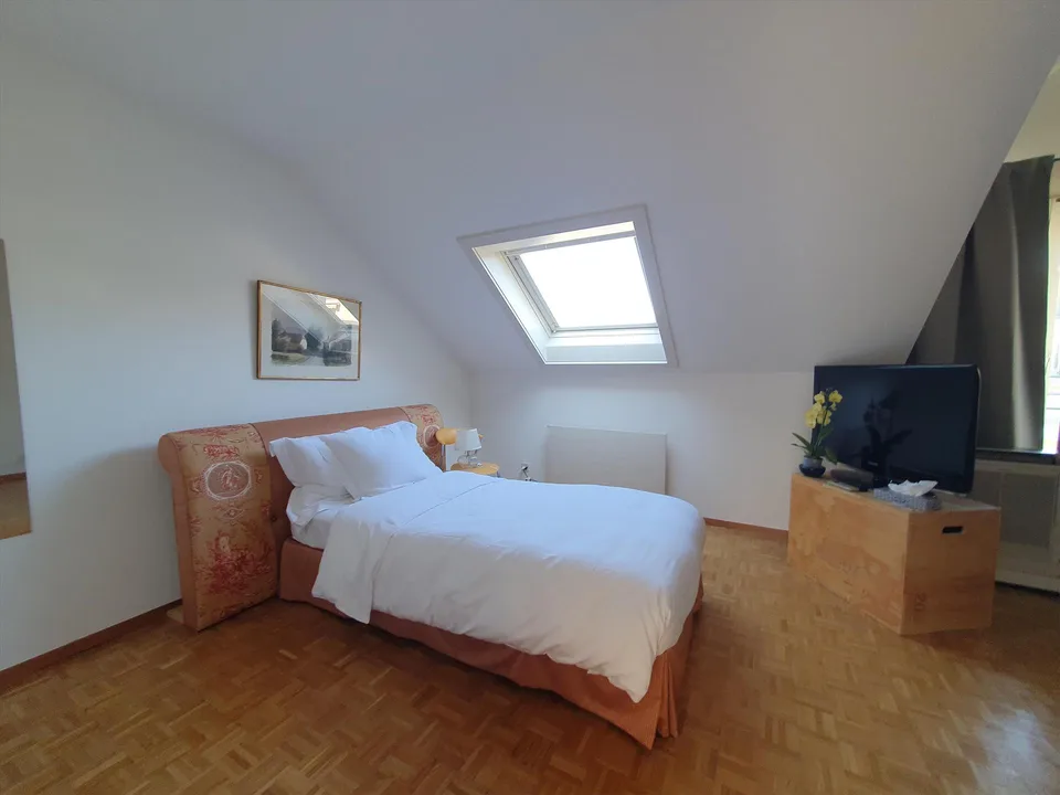 Duplex con terrazza - Rue du Docteur-Alfred-Vincent, 1201 Ginevra – foto 7 di 12
