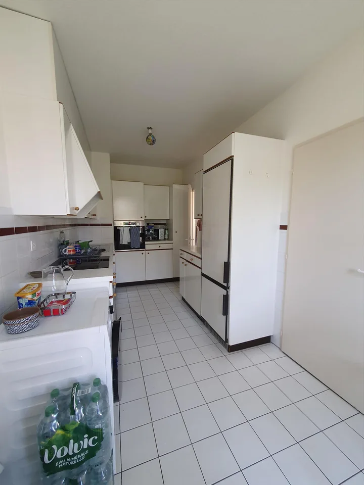 Duplex con terrazza - Rue du Docteur-Alfred-Vincent, 1201 Ginevra – foto 3 di 12