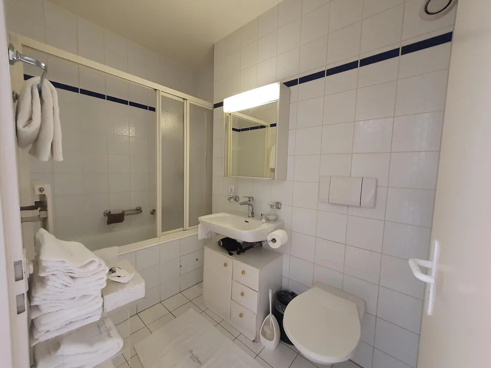 Duplex con terrazza - Rue du Docteur-Alfred-Vincent, 1201 Ginevra – foto 4 di 12