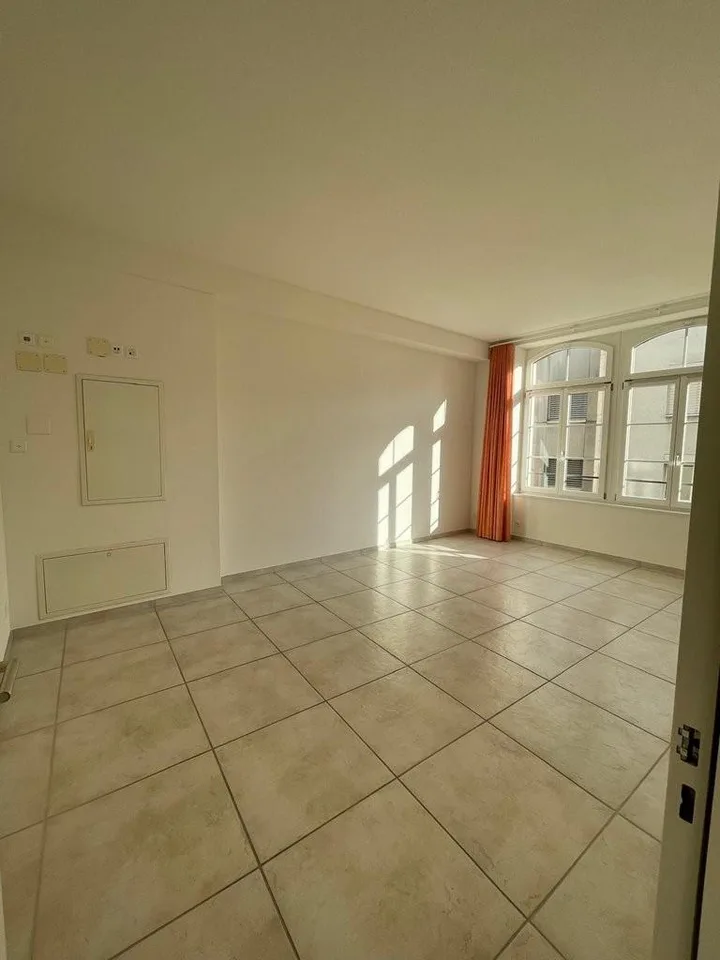 Appartamento di 4,5 locali appena ristrutturato in affitto – foto 3 di 7