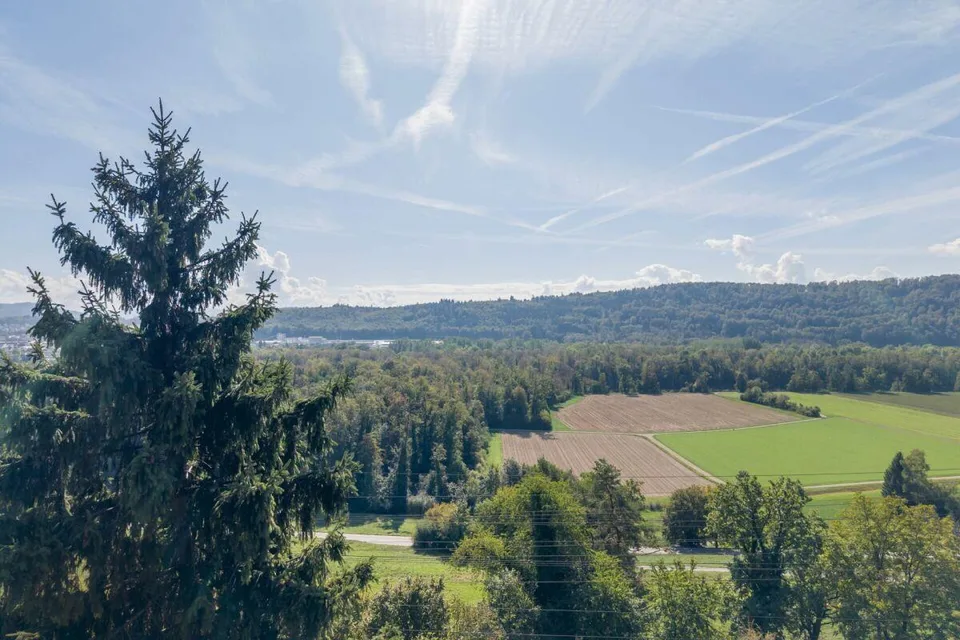 Umweltfreundliches Einfamilienhaus am Waldrand mit Solaranlage und ... – Foto 17 von 23