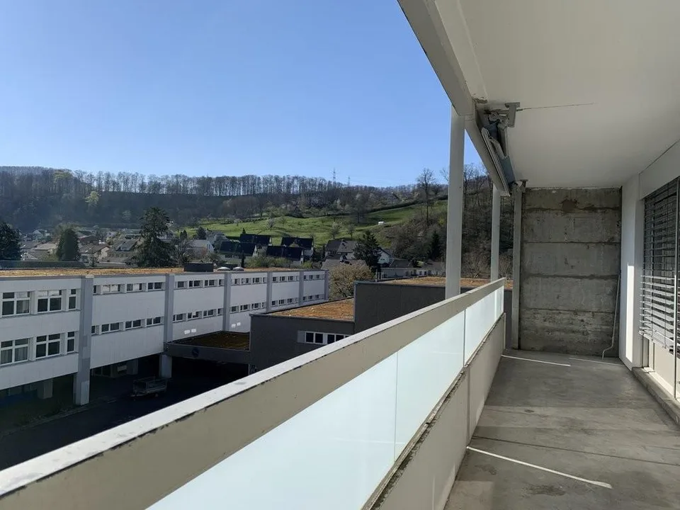 Sanierte 3.5-Zimmerwohnung mit Aussicht über Pratteln – Foto 5 von 5