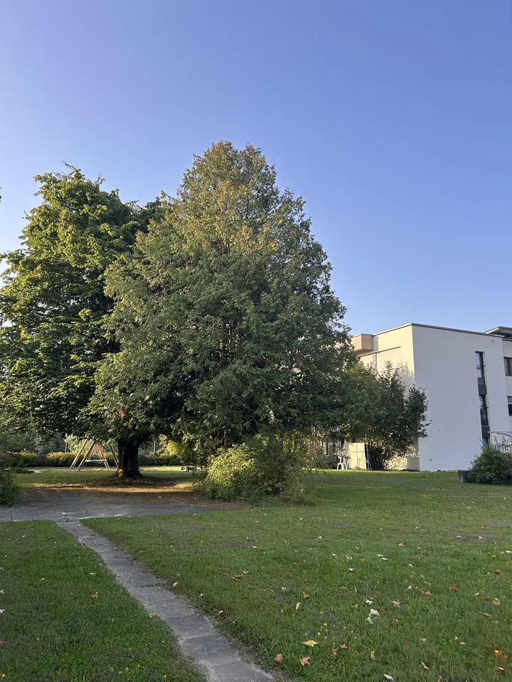 Modernes Wohnen im Grünen: Erstbezug nach Sanierung – photo 19 sur 20