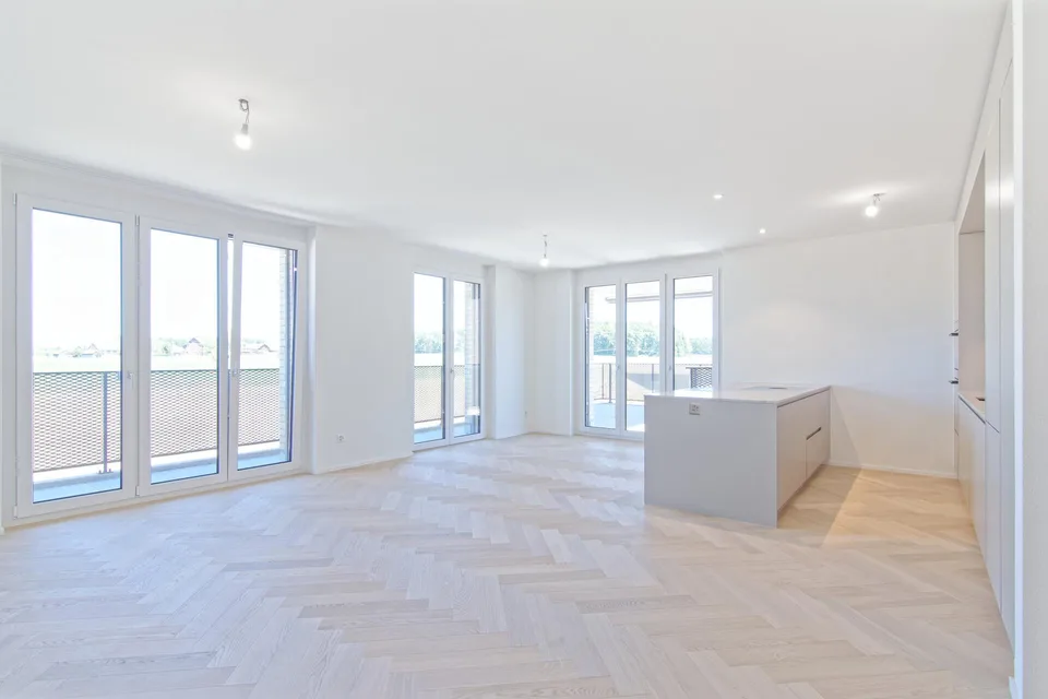 Erstbezug grosse 4.5-Zimmer-Eigentumswohnung mit Lift und Terrasse – photo 18 sur 23