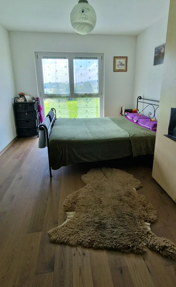 A vendre en Gruyère à Botterens / Zu verkaufen in Botterens – photo 8 sur 12