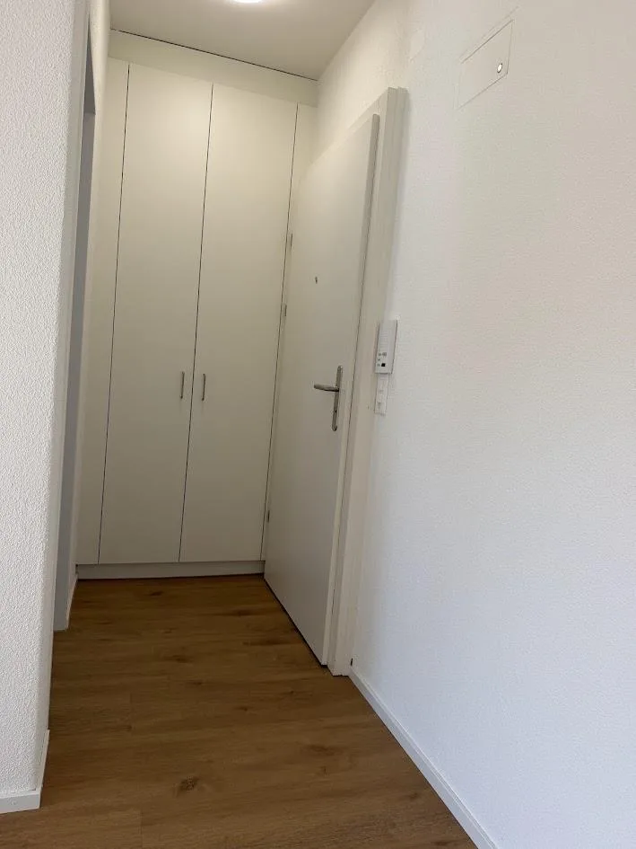 Neu sanierte 1-Zimmerwohnung im alten Dorfkern – Foto 7 von 9