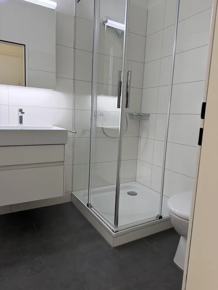 Neu sanierte 1-Zimmerwohnung im alten Dorfkern – Foto 4 von 9