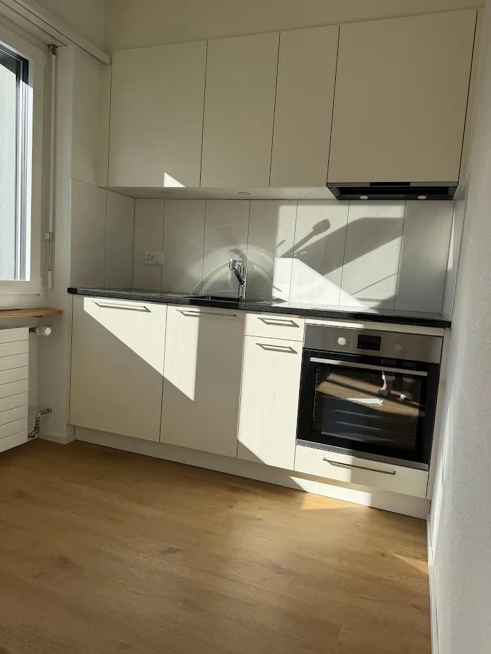 Neu sanierte 1-Zimmerwohnung im alten Dorfkern – Foto 2 von 9