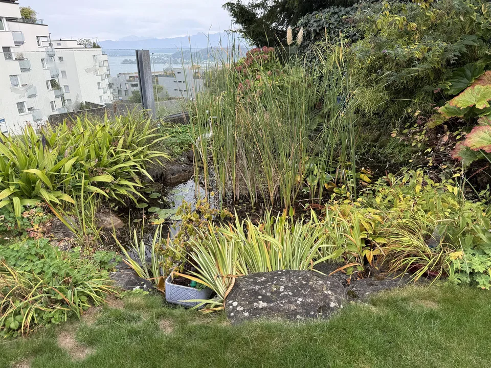 2-Zimmerwohnung mit Seesicht und grosszügigem Garten – foto 13 di 13