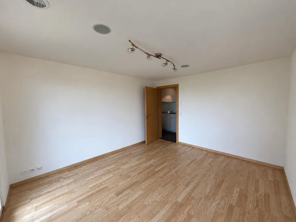 2-Zimmerwohnung mit Seesicht und grosszügigem Garten – foto 4 di 13