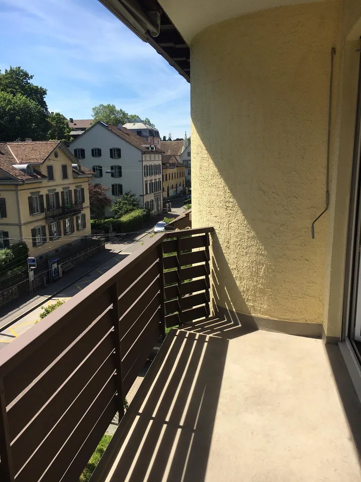 Appartement de vieille construction magnifique au cœur de Zurich – photo 7 sur 8