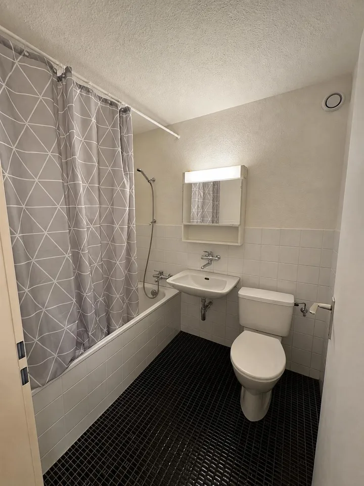 1.5 Zimmerwohnung in Ebmatingen – Foto 3 von 5