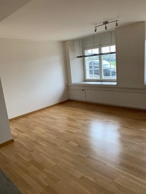 vielseitig nutzbarer Lagerraum zu vermieten – foto 2 di 3