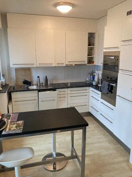 Helle Wohnung an zentraler Lage in Zürich Wiedikon – foto 3 di 5