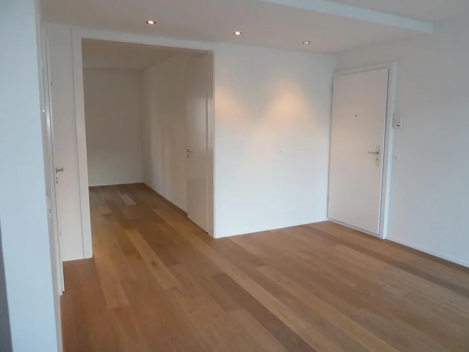 Helle Wohnung in der Nähe vom Lochergut in Zürich – Foto 2 von 7