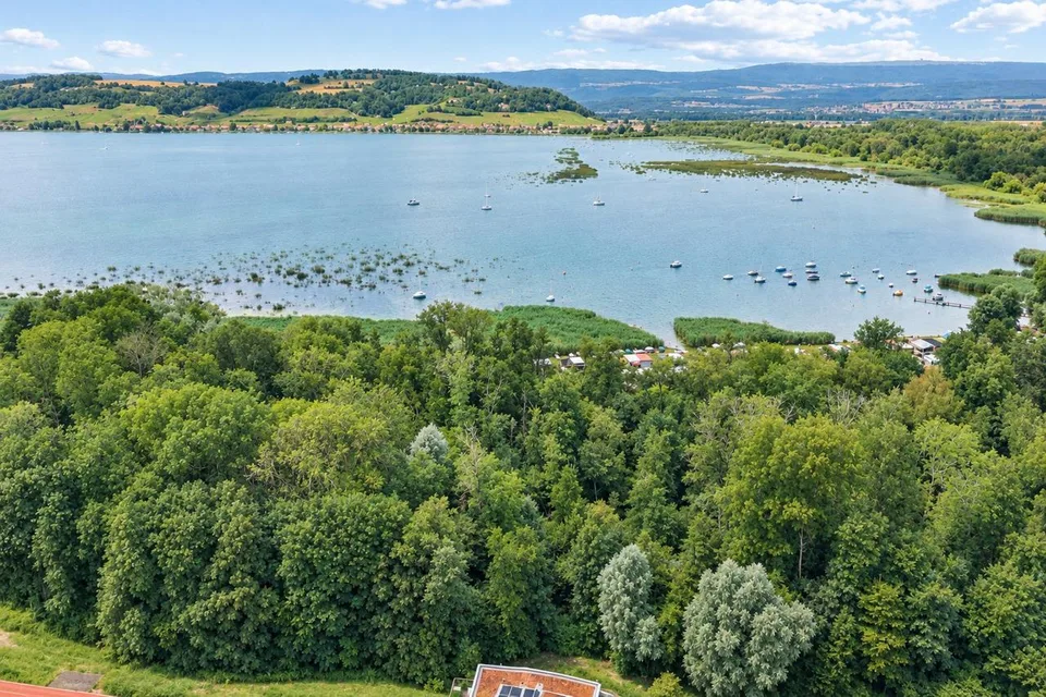 Lake Murten at your doorstep - Exclusive 5.5-room attic apartment – photo 12 of 12