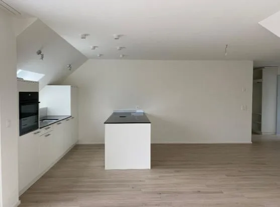 Neue und helle 4,5-Zimmer Maisonette-Wohnung – photo 3 sur 7