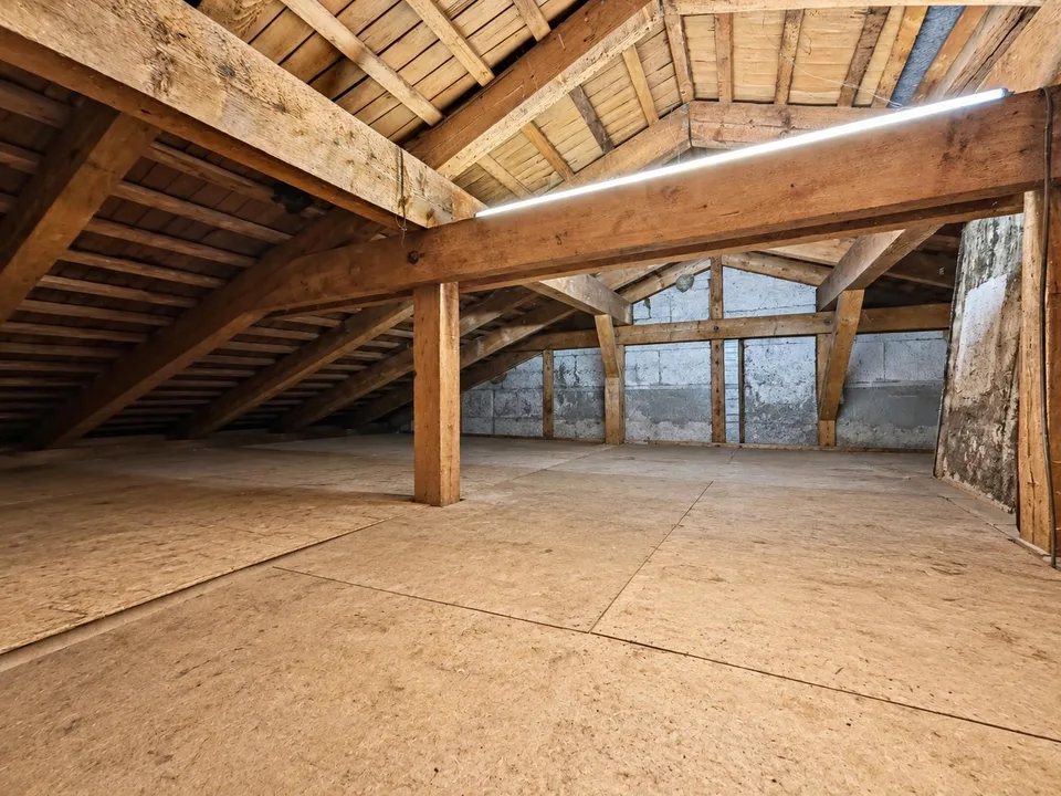 Maison 5½ pièces avec jardin et grande garage (Mels) – photo 28 sur 30