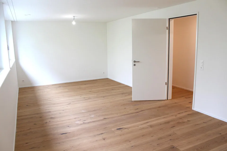Neues 6.5 Zimmer Einfamilienhaus zu kaufen – foto 9 di 28