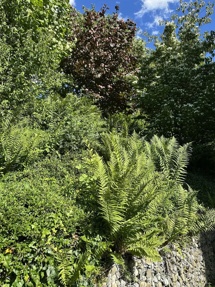 Viel Platz für die ganze Familie – photo 16 of 19