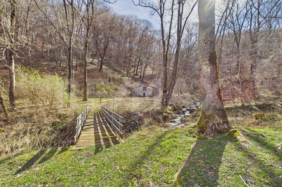 Natura autentica, silenzio e spazio da vivere – Foto 6 von 13
