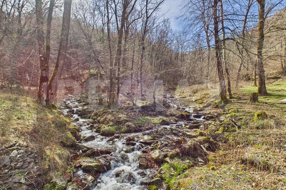 Natura autentica, silenzio e spazio da vivere – Foto 2 von 13