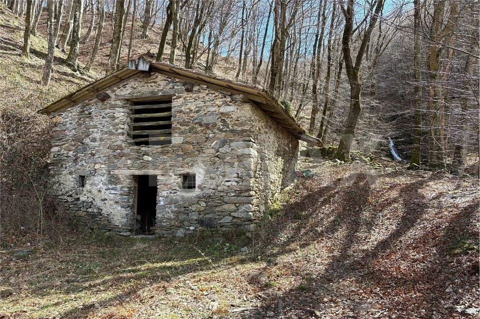 Natura autentica, silenzio e spazio da vivere – Foto 11 von 13