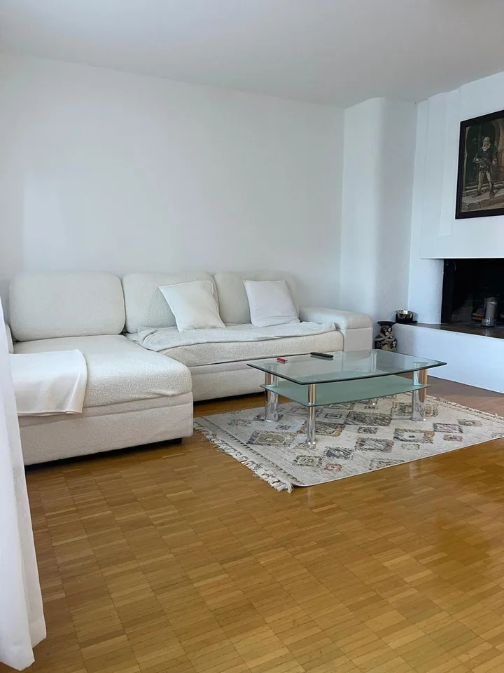 Bienvenue dans votre nouvelle maison au 8 Birkenstrasse à Männedorf! – photo 6 sur 9