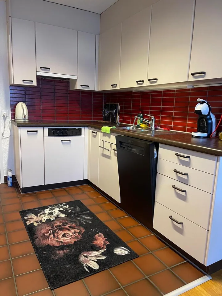 Bienvenue dans votre nouvelle maison au 8 Birkenstrasse à Männedorf! – photo 2 sur 9