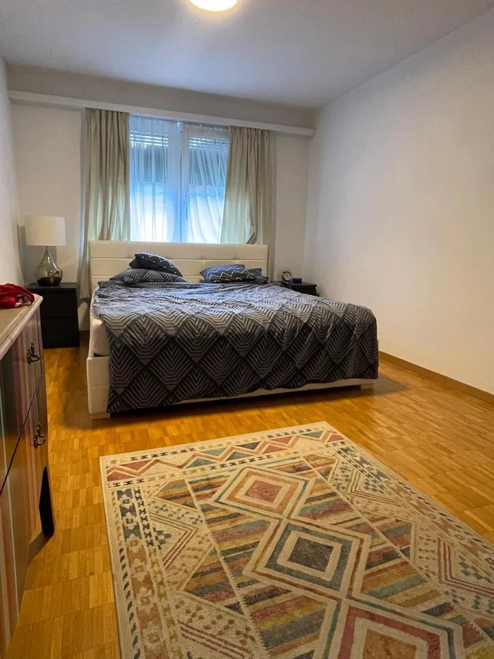 Bienvenue dans votre nouvelle maison au 8 Birkenstrasse à Männedorf! – photo 8 sur 9