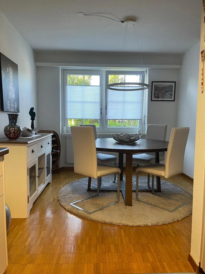 Bienvenue dans votre nouvelle maison au 8 Birkenstrasse à Männedorf! – photo 3 sur 9