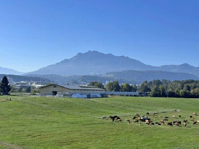 Wohnen mit herrlichem Weitblick ... neu - modern - grosszügig – Foto 7 von 14