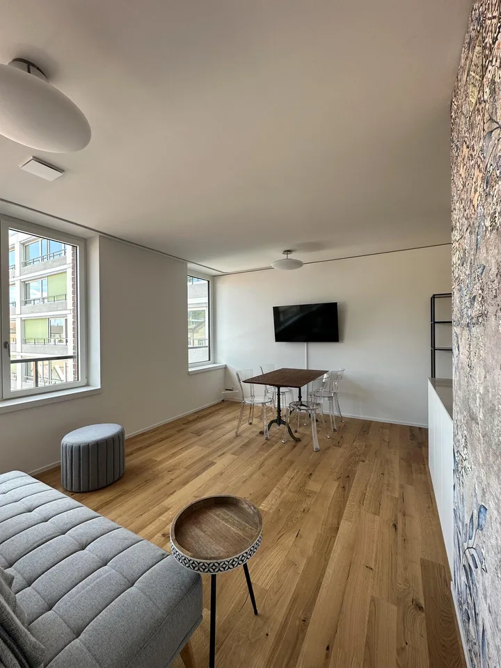 Appartamento temporaneo di 2,5 locali a Winterthur – foto 4 di 8