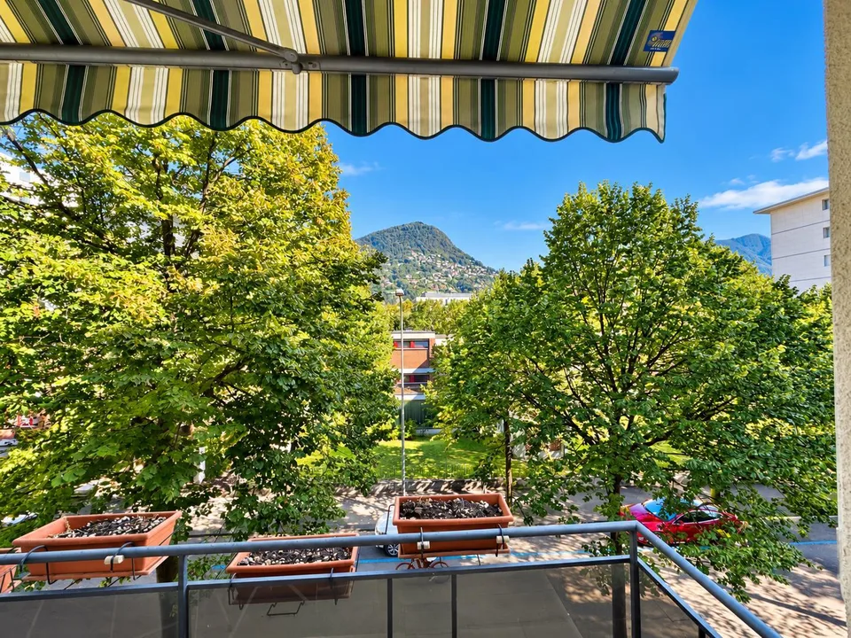 LUGANO CENTRO | 4.5 LOCALI + DUE APPARTAMENTI A REDDITO - – photo 8 sur 28