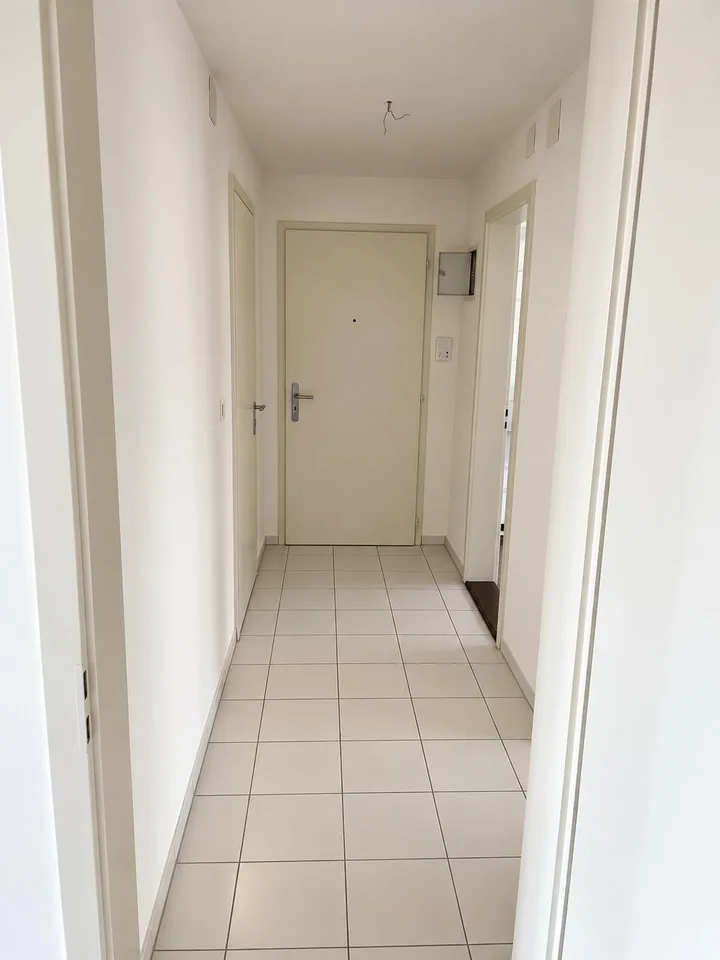 Breitsch-Wohnung sucht frischen Wind durch neue Füsse – photo 8 of 9