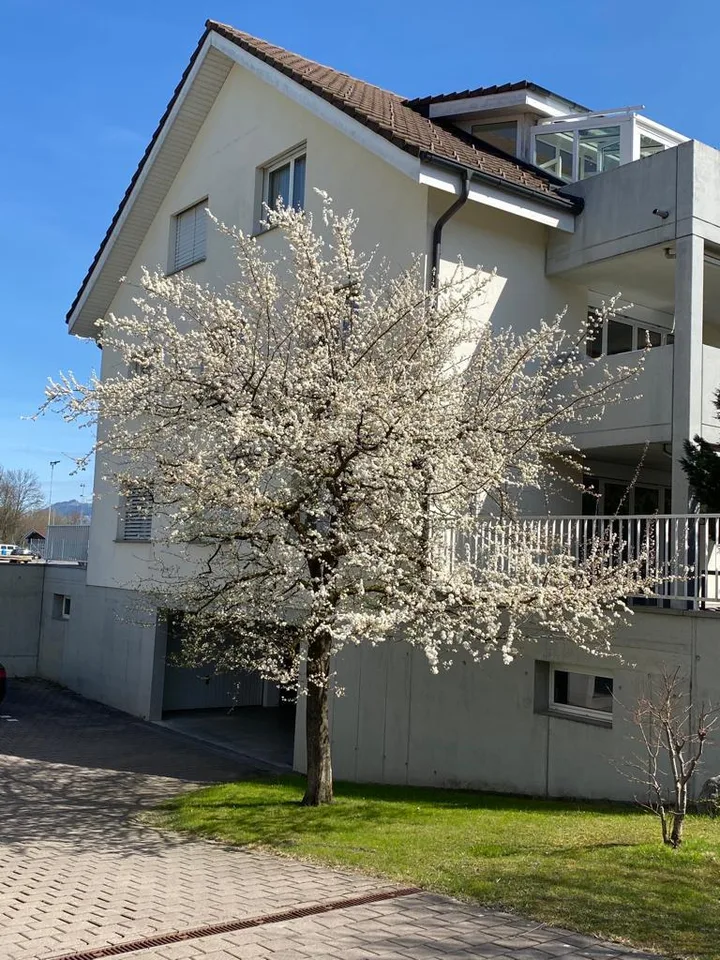 Sonnige & grosse 4.5 ZWG mit zwei Balkonen in ruhiger EFH Gegend – Foto 2 von 7