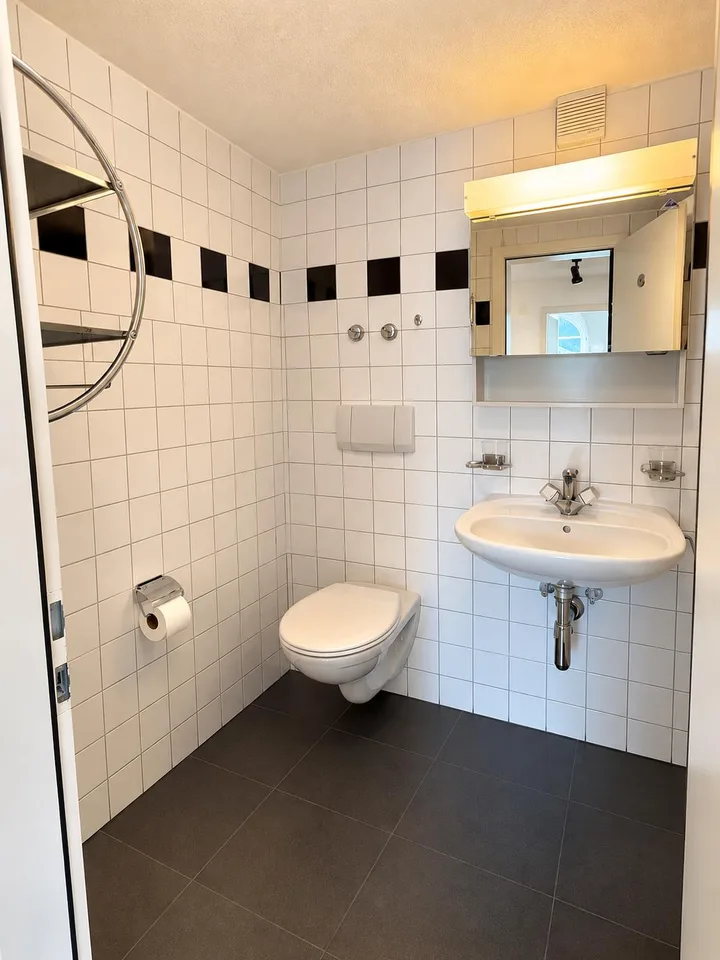 Charmante 2.5-Zimmer-Dachwohnung mit schöner Aussicht – photo 11 sur 14