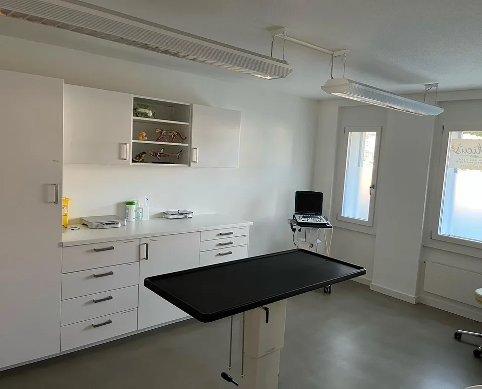 Attraktive Praxisräumlichkeiten an zentraler Lage in Adliswil – 117 m² – Foto 5 von 6