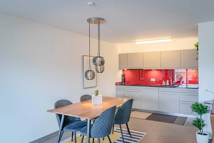 VIVRE AVEC UNE TERRASSE DE 85 M² PRÈS DU HALLWILERSEE – photo 4 sur 8