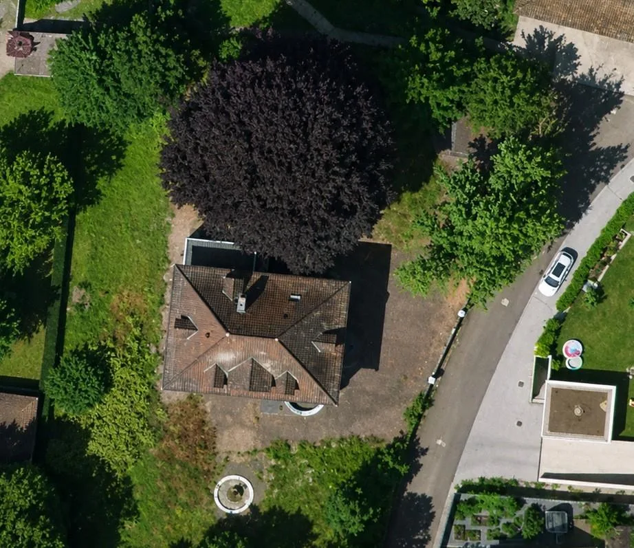 Historische Villa mit Rheinsicht (2'000 m2) – Foto 5 von 10
