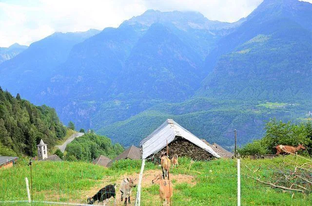 Grande rustico da ristrutturare con terreno molto soleggiata e pano... – Foto 16 von 25