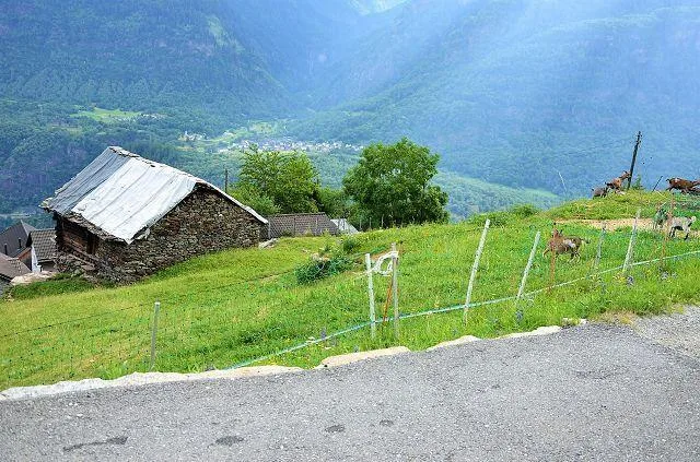 Grande rustico da ristrutturare con terreno molto soleggiata e pano... – Foto 6 von 25
