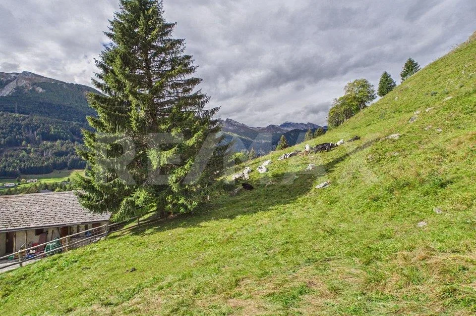 Grigioni - Terreno edificabile con vista panoramica sulle montagne – foto 2 di 13