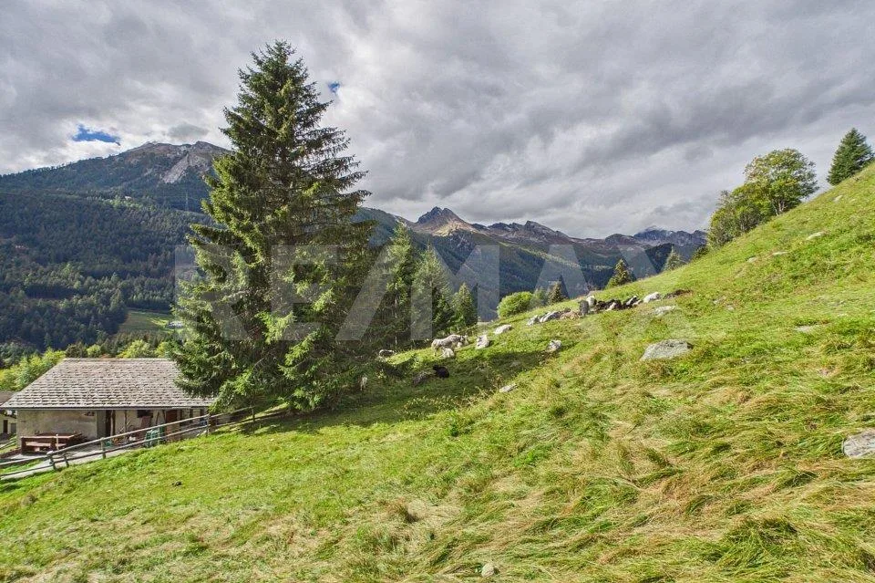 Grigioni - Terreno edificabile con vista panoramica sulle montagne – foto 3 di 13