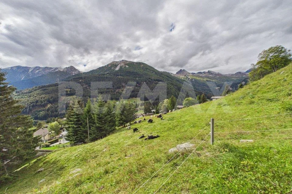 Grigioni - Terreno edificabile con vista panoramica sulle montagne – foto 8 di 13